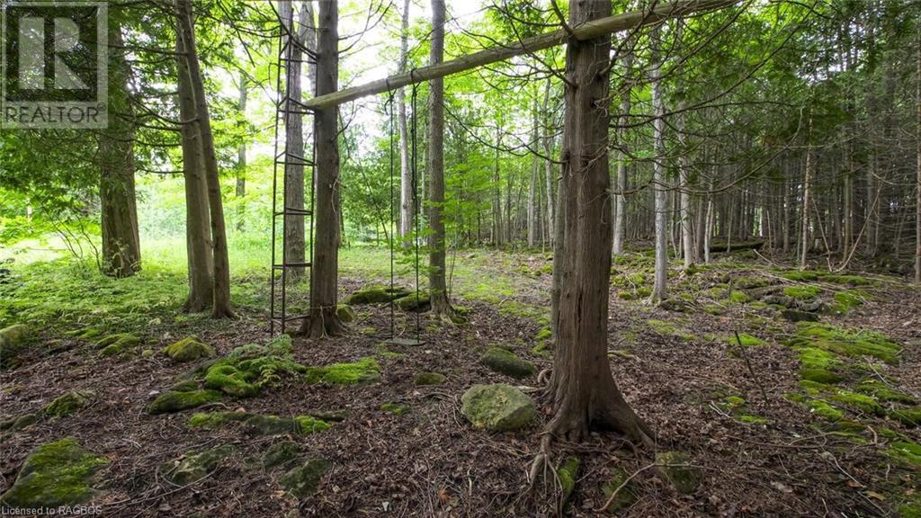 1477 Highway 6, South Bruce Peninsula, Ontario  N0H 1X0 - Photo 8 - 40612052