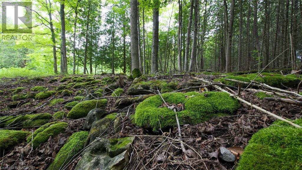 1477 Highway 6, South Bruce Peninsula, Ontario  N0H 1X0 - Photo 9 - 40612052