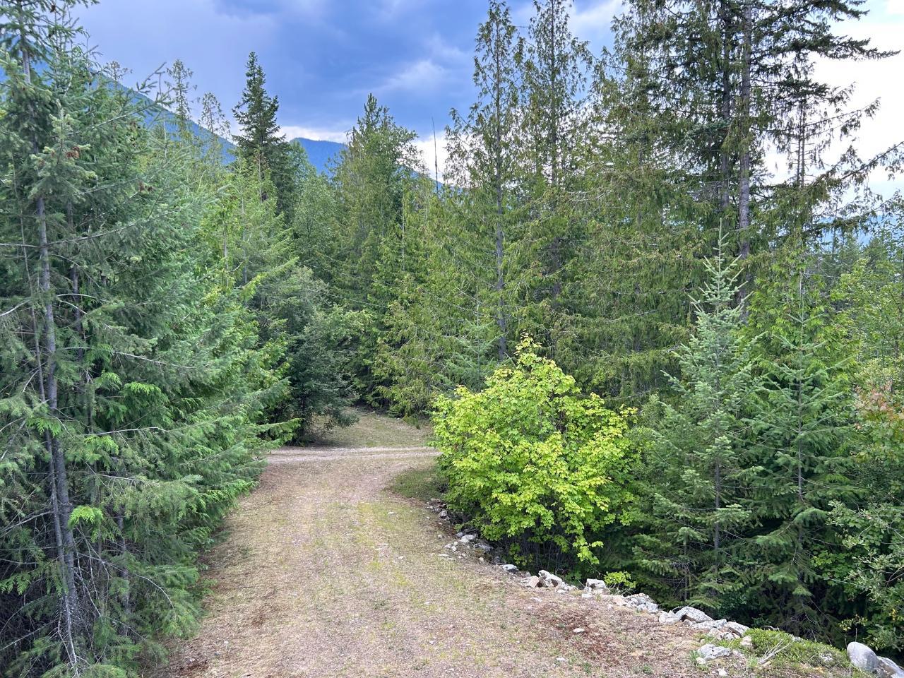 245 Rainbow Ridge Road, Procter, British Columbia  V1L 0B7 - Photo 41 - 2478053