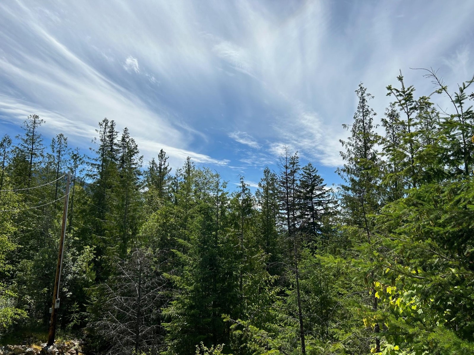 245 Rainbow Ridge Road, Procter, British Columbia  V1L 0B7 - Photo 47 - 2478053