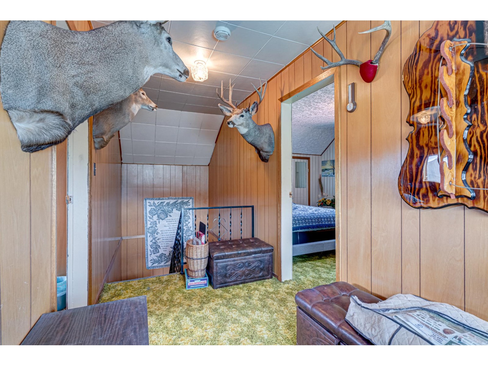 6294 Laurier Avenue, Wardner, British Columbia  V0B 2J0 - Photo 24 - 2478041