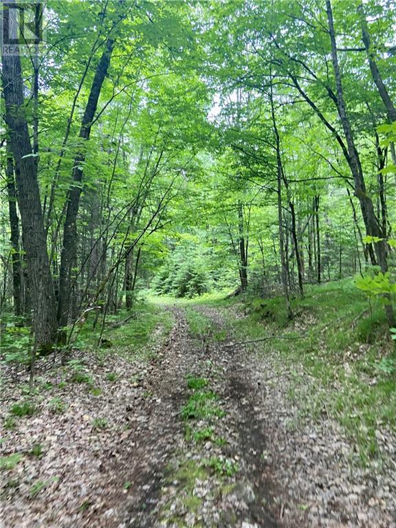 1465 Letterkenny Road, Quadeville, Ontario  K0J 2E0 - Photo 26 - 1399806