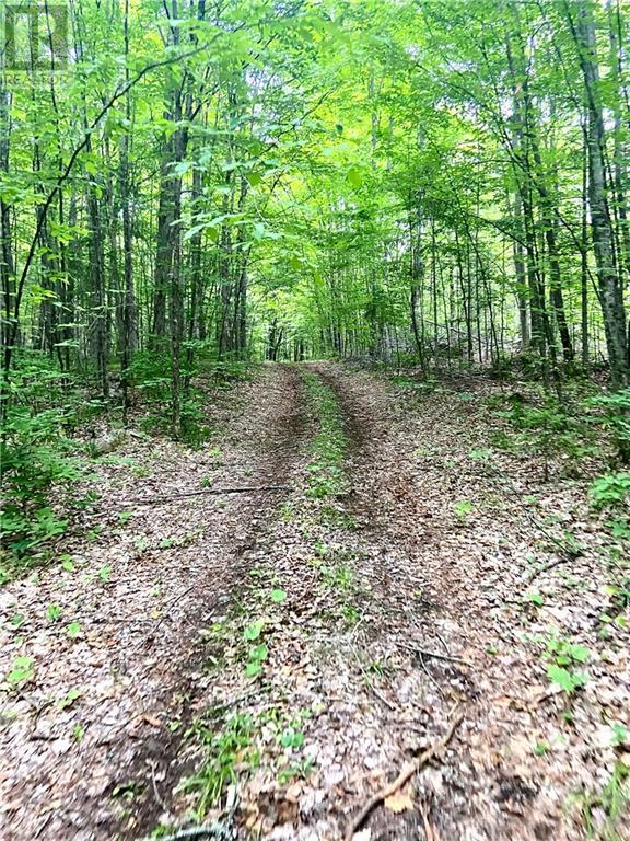 1465 Letterkenny Road, Quadeville, Ontario  K0J 2E0 - Photo 27 - 1399806