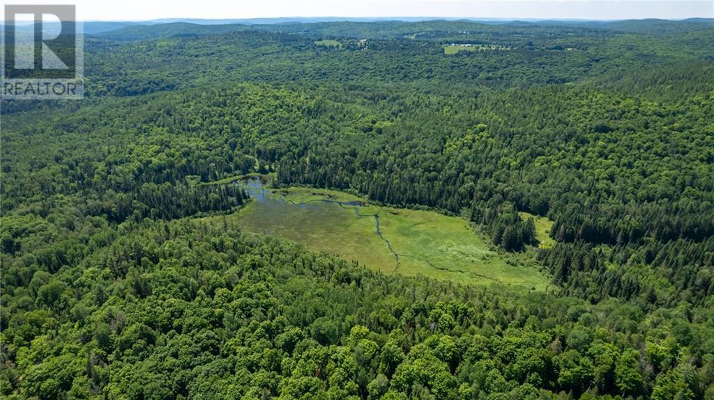 1465 Letterkenny Road, Quadeville, Ontario  K0J 2E0 - Photo 28 - 1399806