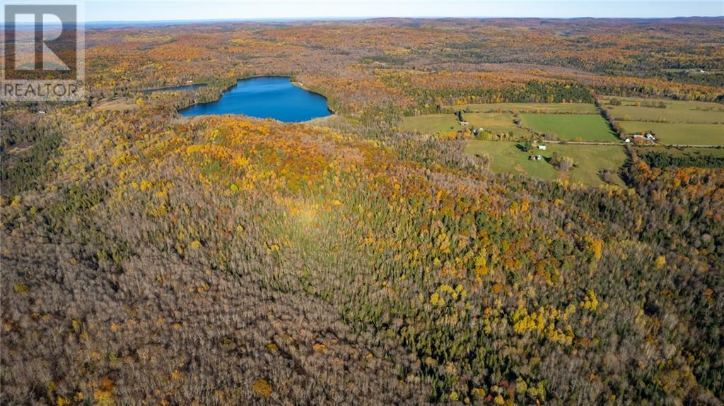 1465 Letterkenny Road, Quadeville, Ontario  K0J 2E0 - Photo 8 - 1399806