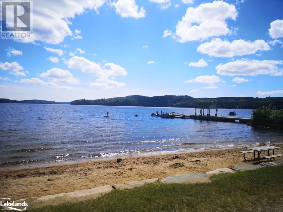 2831 Highway 60 Highway, Dwight, Ontario  P0A 1H0 - Photo 41 - 40613043