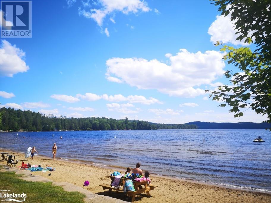 2831 Highway 60 Highway, Dwight, Ontario  P0A 1H0 - Photo 42 - 40613043