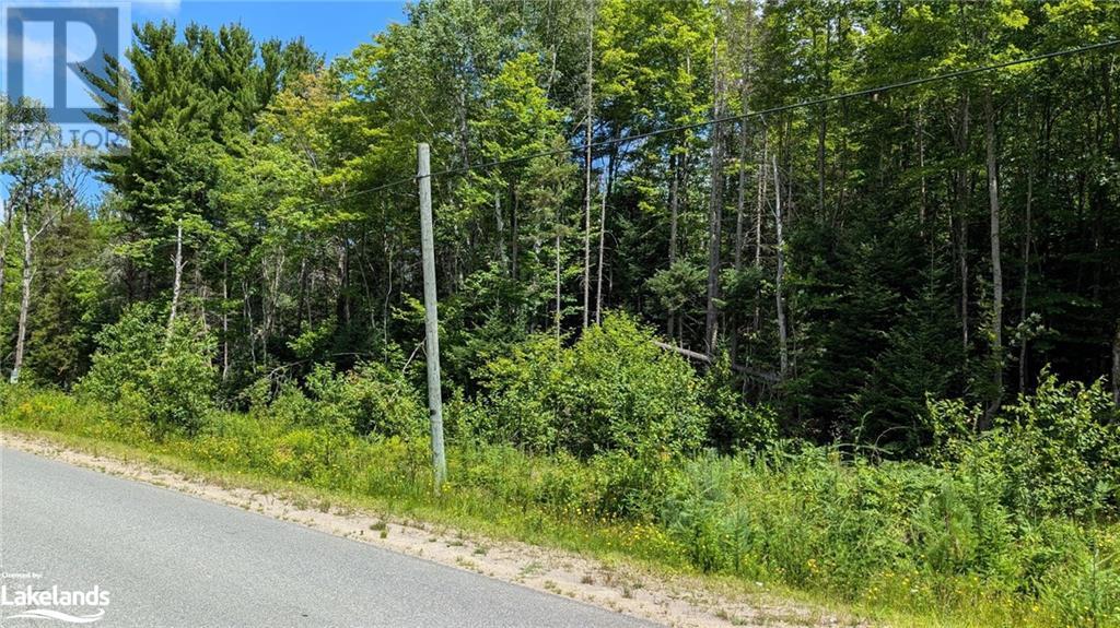 Lot 2 Berriedale Road, Armour, Ontario  P0A 1C0 - Photo 2 - 40613192