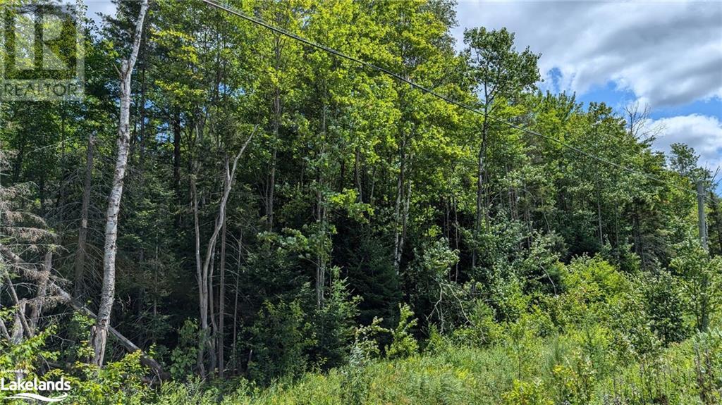 Lot 2 Berriedale Road, Armour, Ontario  P0A 1C0 - Photo 3 - 40613192