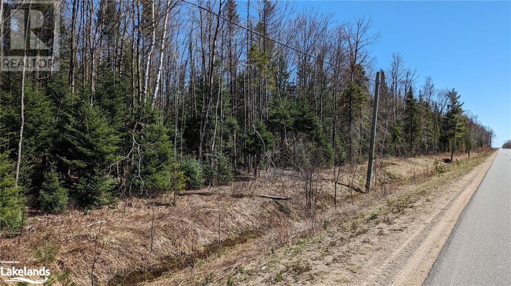 Lot 2 Berriedale Road, Armour, Ontario  P0A 1C0 - Photo 6 - 40613192