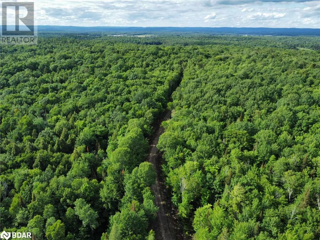 Lot 16 Grand Desert Road, Bonfield, Ontario  P0H 1E0 - Photo 11 - 40613252