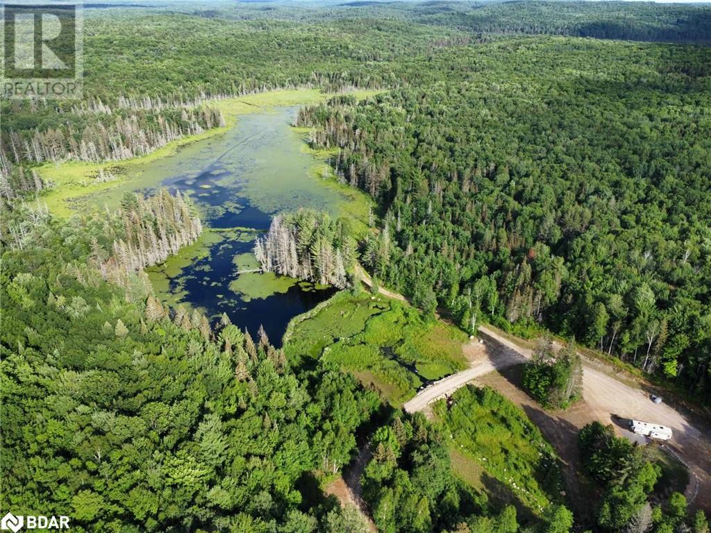 Lot 16 Grand Desert Road, Bonfield, Ontario  P0H 1E0 - Photo 8 - 40613252