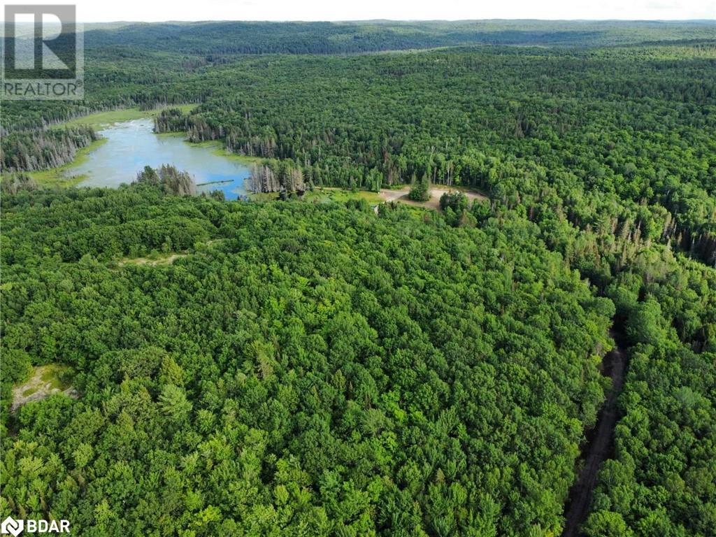 Lot 16 Grand Desert Road, Bonfield, Ontario  P0H 1E0 - Photo 9 - 40613252