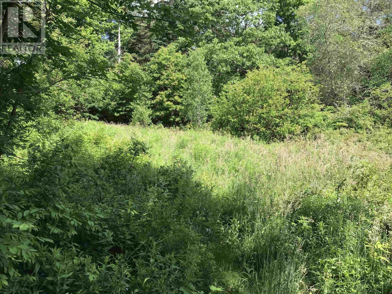 0 Highway 308, Tusket, Nova Scotia  B0W 3M0 - Photo 10 - 202312604