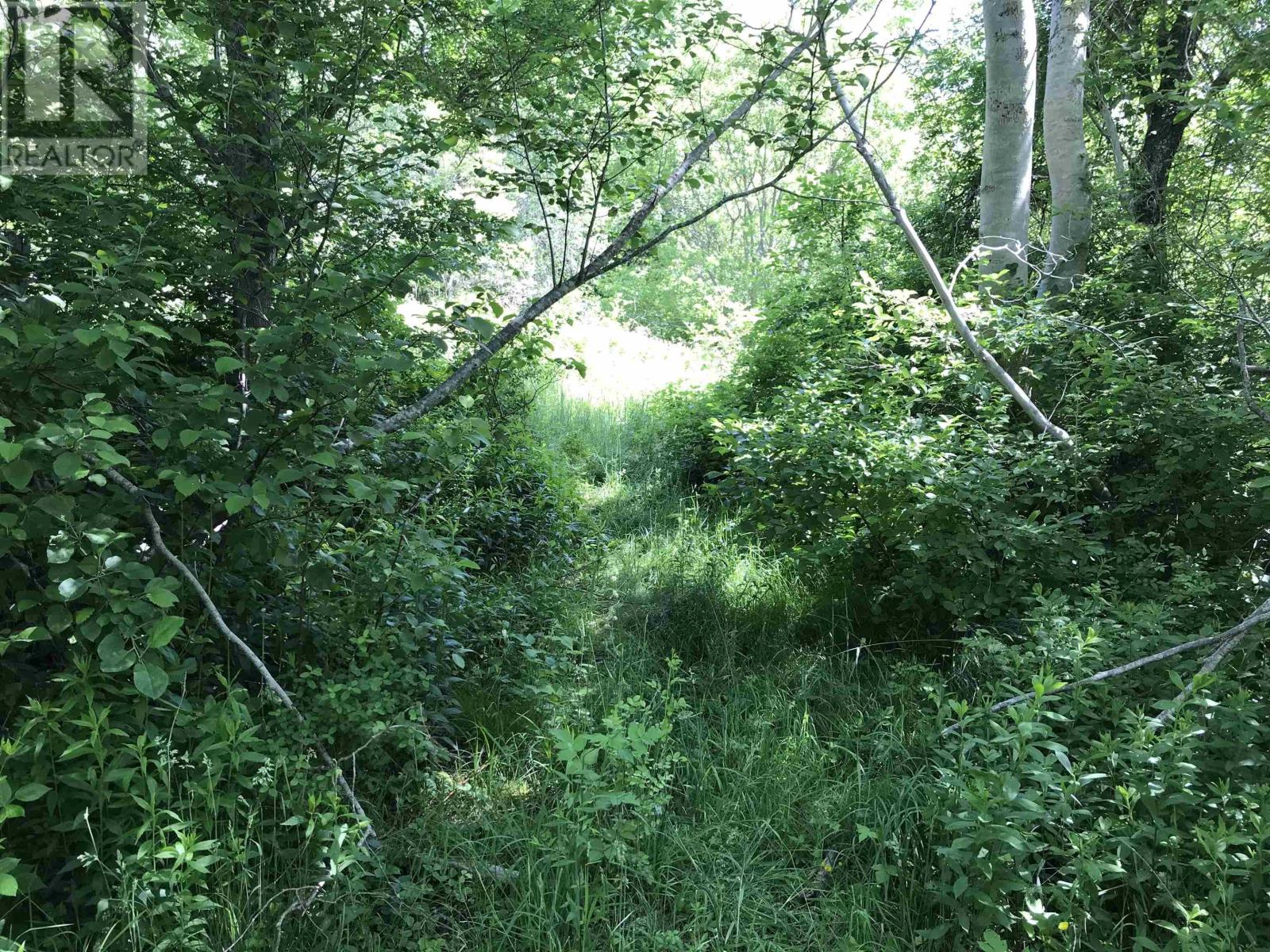 0 Highway 308, Tusket, Nova Scotia  B0W 3M0 - Photo 11 - 202312604