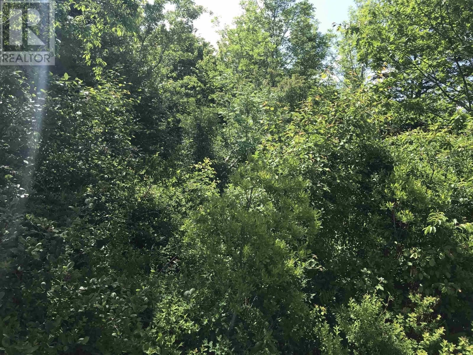 0 Highway 308, Tusket, Nova Scotia  B0W 3M0 - Photo 3 - 202312604