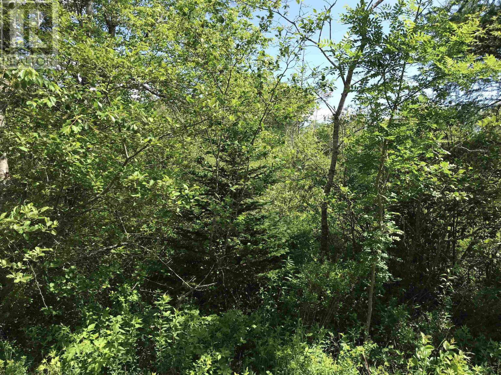 0 Highway 308, Tusket, Nova Scotia  B0W 3M0 - Photo 5 - 202312604