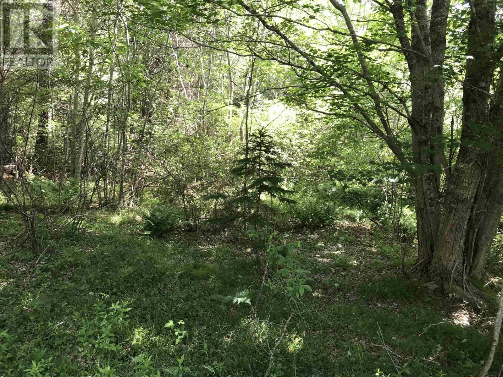 0 Highway 308, Tusket, Nova Scotia  B0W 3M0 - Photo 7 - 202312604