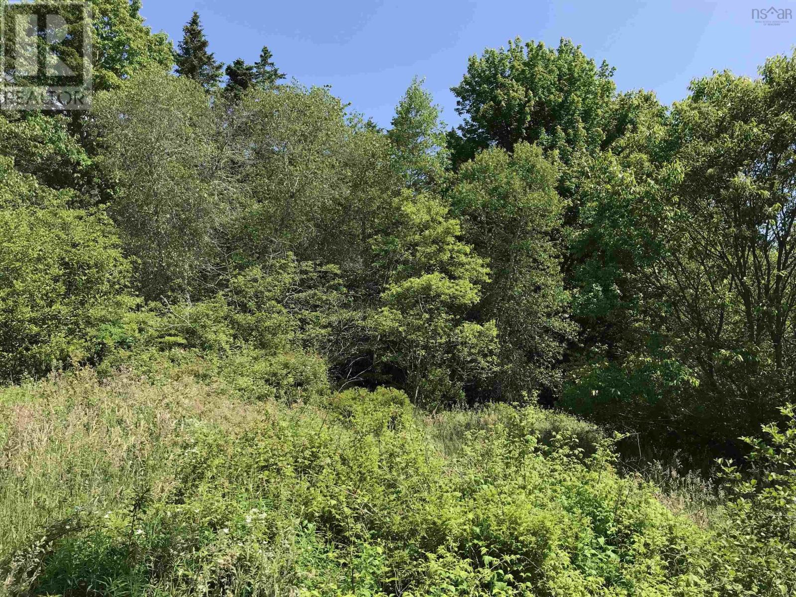 0 Highway 308, Tusket, Nova Scotia  B0W 3M0 - Photo 8 - 202312604