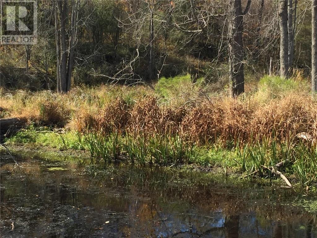 2707 Narrows Lock Road, Perth, Ontario  K7H 3C5 - Photo 4 - 1400126