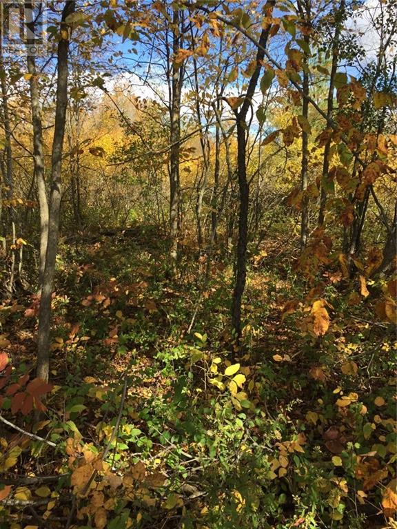 2707 Narrows Lock Road, Perth, Ontario  K7H 3C5 - Photo 11 - 1400126