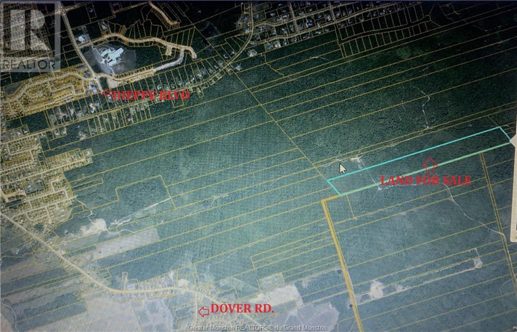 Woodlot Leblanc Rd, Dieppe Blvd, Dieppe, New Brunswick  E1A 7N3 - Photo 2 - M160603