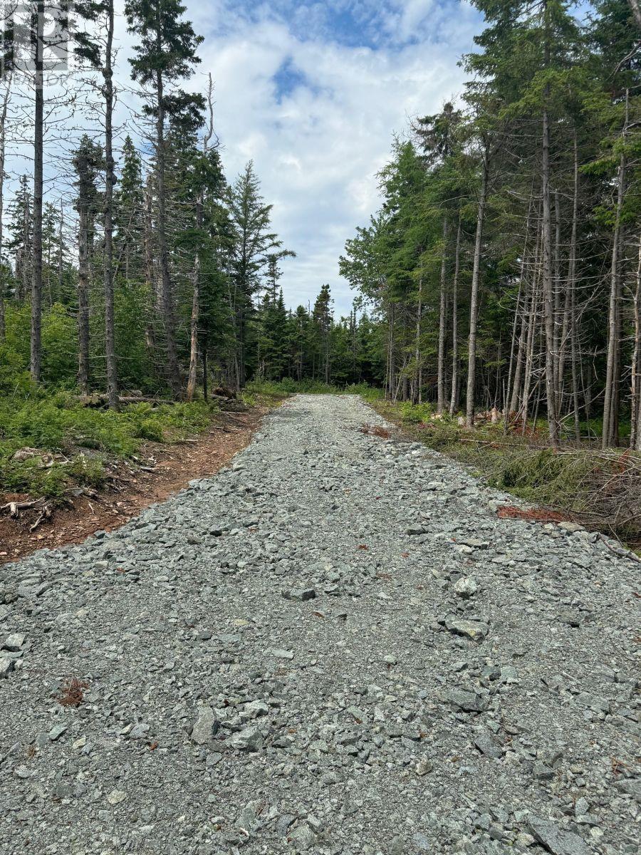 Lot 1 241 Walkerville Road, Walkerville, Nova Scotia  B0E 1J0 - Photo 21 - 202407301