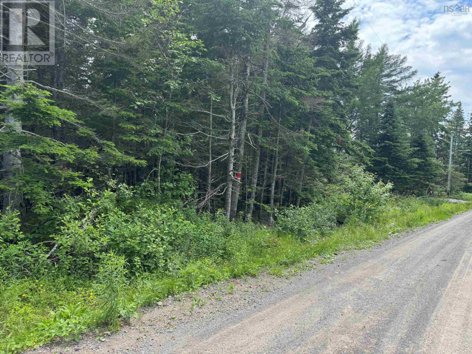 Lot 1 241 Walkerville Road, Walkerville, Nova Scotia  B0E 1J0 - Photo 26 - 202407301