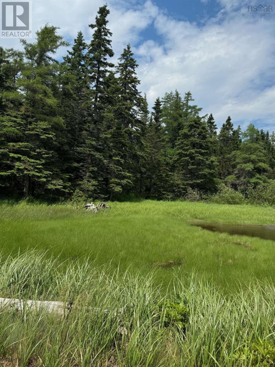 Lot 1 241 Walkerville Road, Walkerville, Nova Scotia  B0E 1J0 - Photo 33 - 202407301