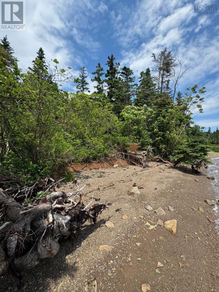 Lot 1 241 Walkerville Road, Walkerville, Nova Scotia  B0E 1J0 - Photo 37 - 202407301