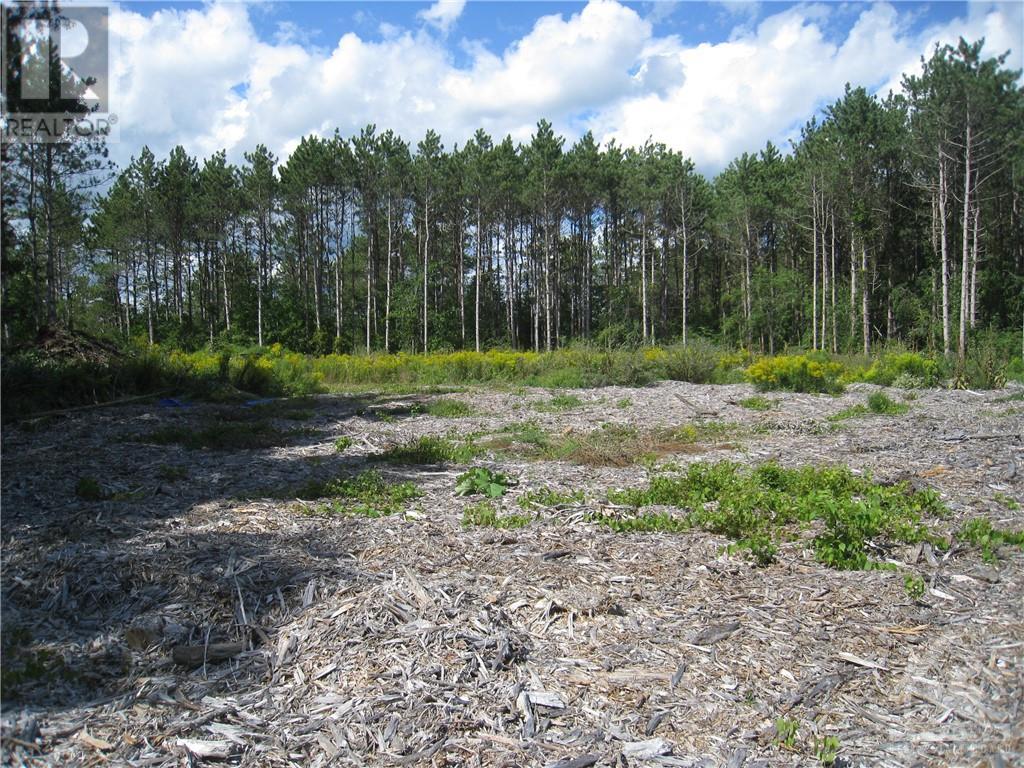 621 Highway 43 West, Merrickville, Ontario  K0G 1N0 - Photo 6 - 1400194