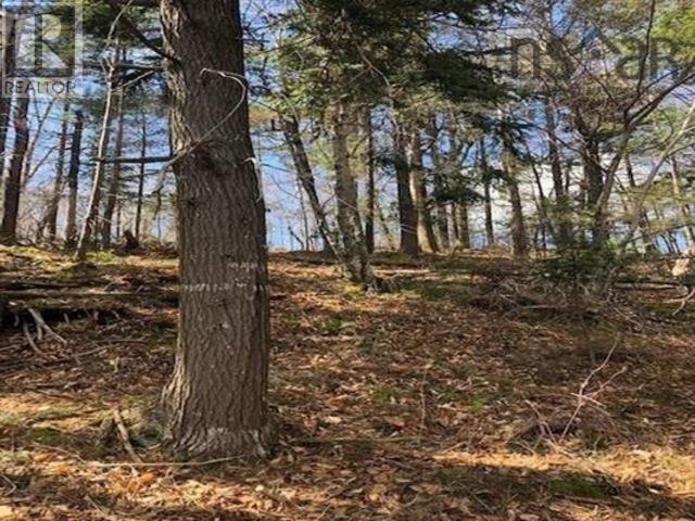 2-B 408 Harrington Road, Mayflower, Nova Scotia  B0W 2Y0 - Photo 3 - 202415317