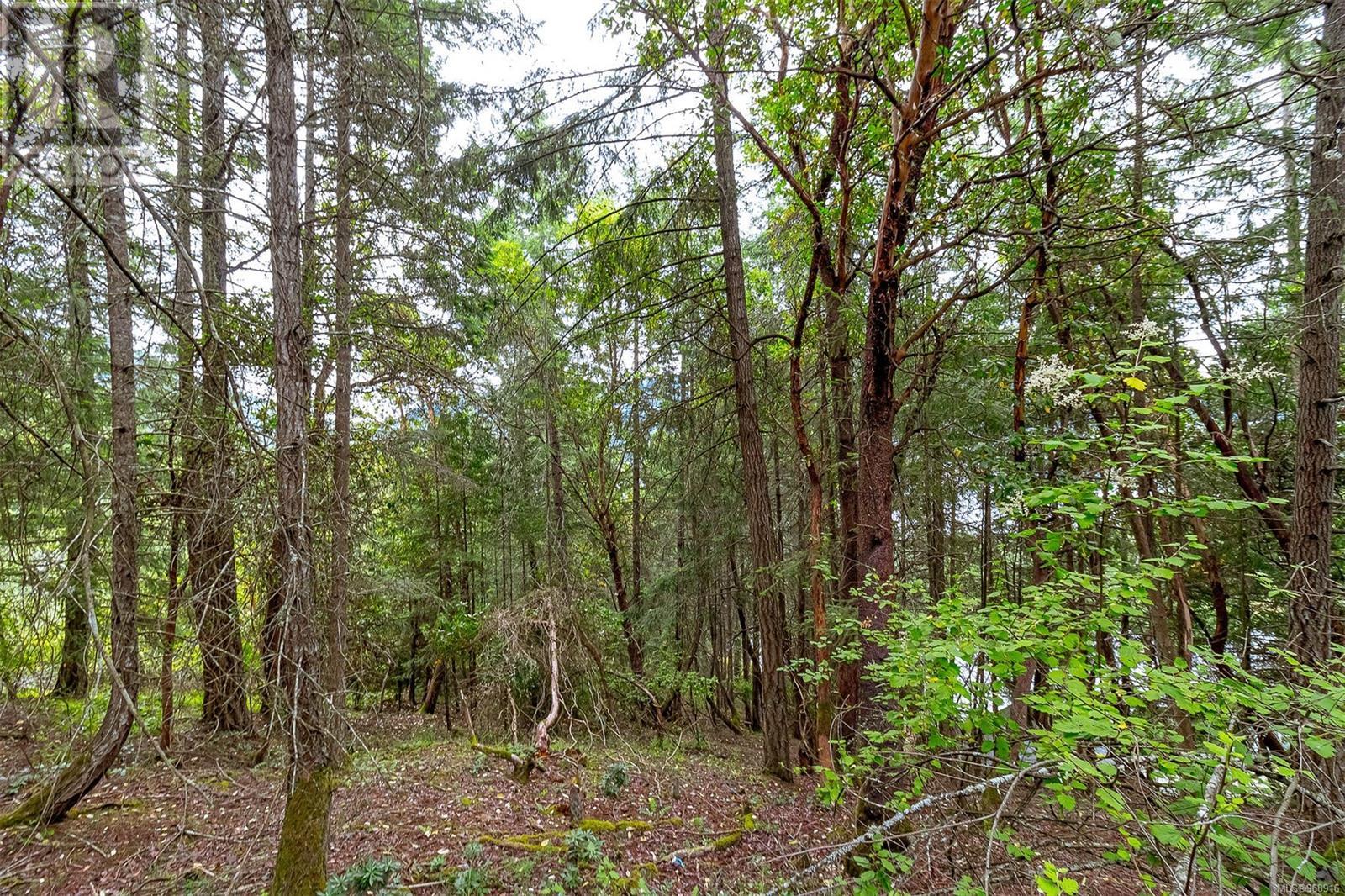 Lot 13 Bird's Eye Dr, Duncan, British Columbia  V9L 5Y2 - Photo 3 - 968916