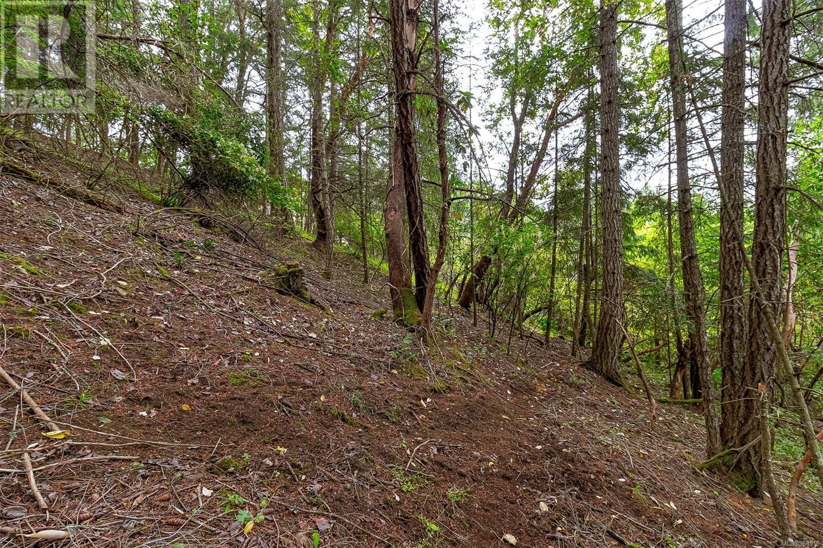 Lot 13 Bird's Eye Dr, Duncan, British Columbia  V9L 5Y2 - Photo 4 - 968916