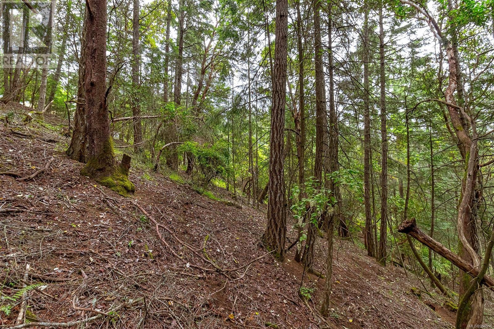 Lot 13 Bird's Eye Dr, Duncan, British Columbia  V9L 5Y2 - Photo 5 - 968916