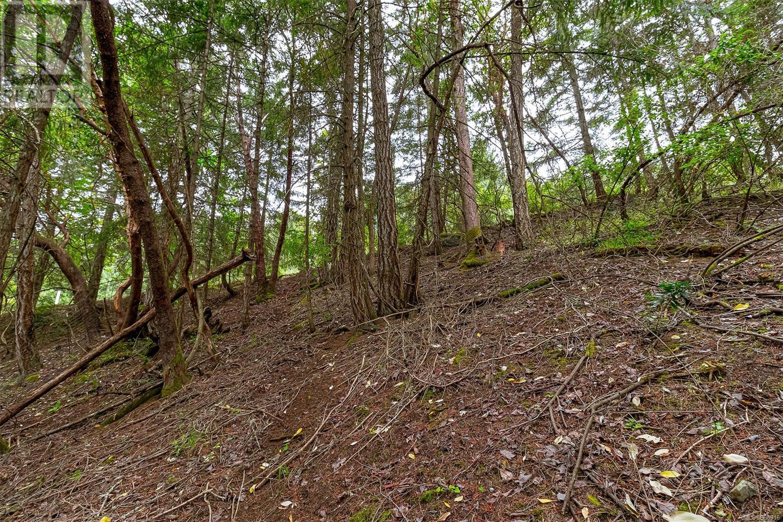 Lot 13 Bird's Eye Dr, Duncan, British Columbia  V9L 5Y2 - Photo 6 - 968916