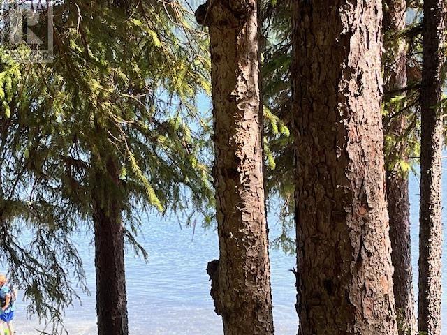 LOT 1 BOWRON LAKE ROAD, wells, British Columbia