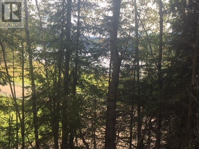 Lot 1 Bowron Lake Road, Wells, British Columbia  V2A 5C5 - Photo 2 - R2900171