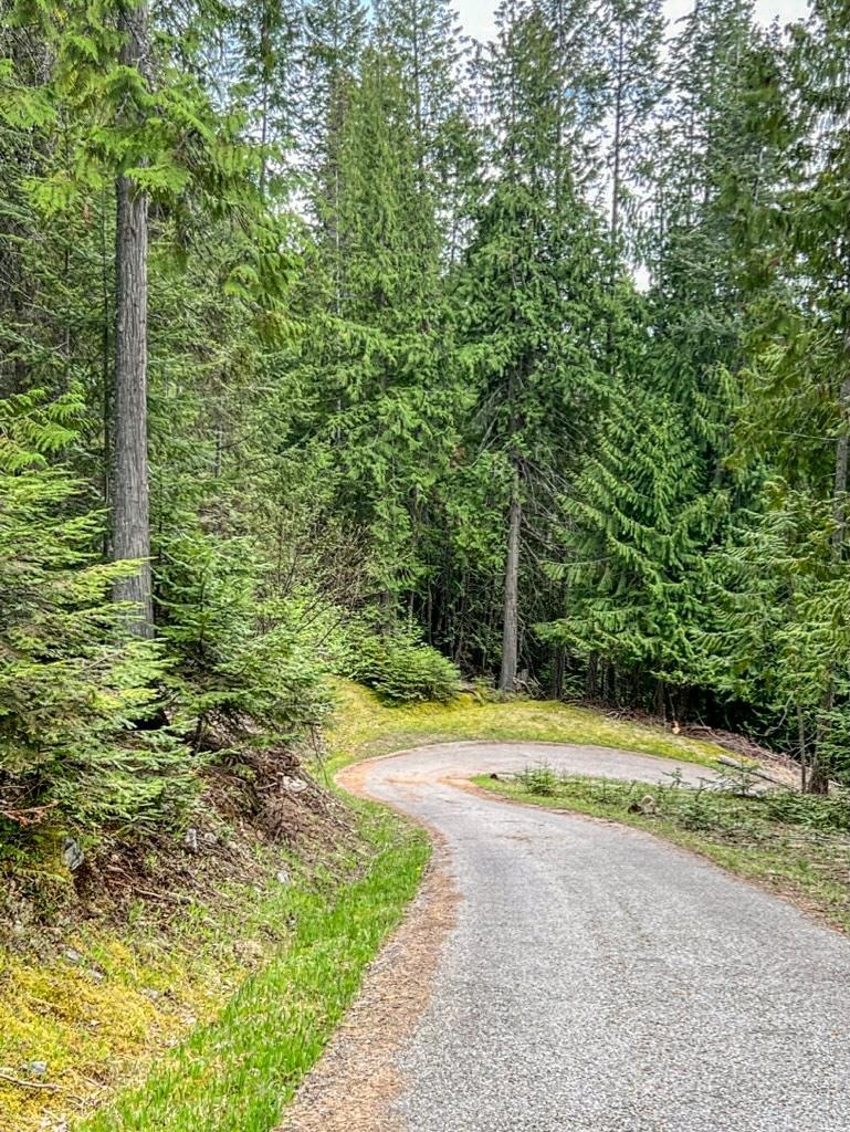 12168 Highway 3a, Boswell, British Columbia  V0B 1A0 - Photo 39 - 2478095