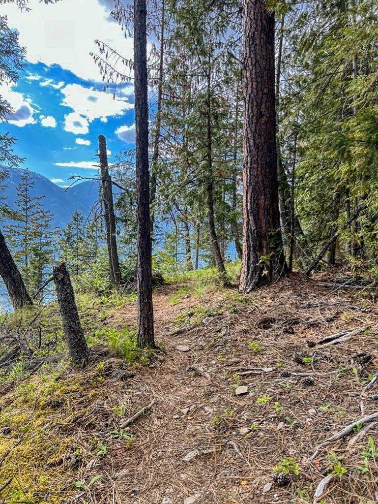 12168 Highway 3a, Boswell, British Columbia  V0B 1A0 - Photo 40 - 2478095