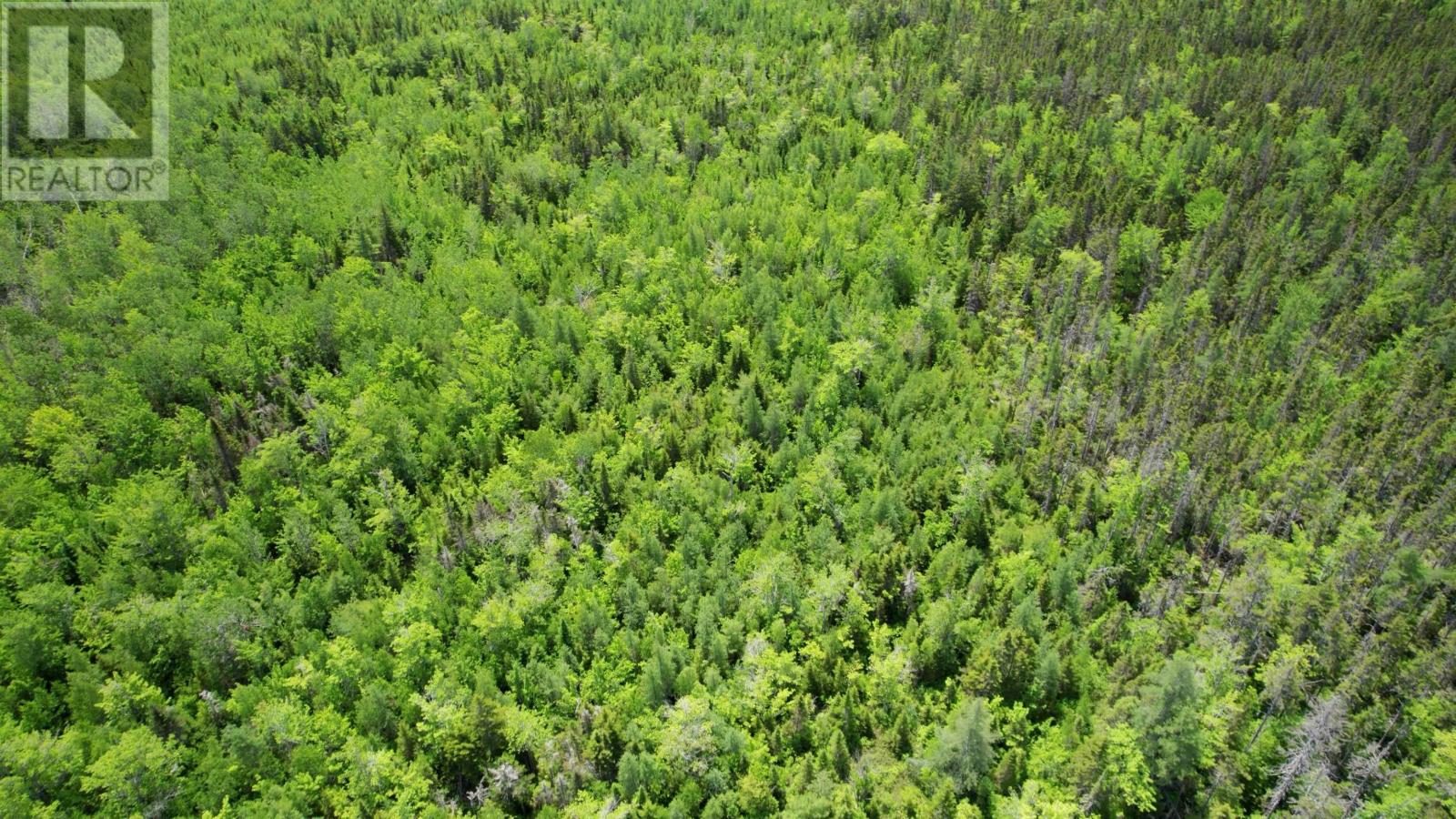 Acreage Port Hill Station Road, Tyne Valley, Prince Edward Island  C0B 2C0 - Photo 12 - 202415335