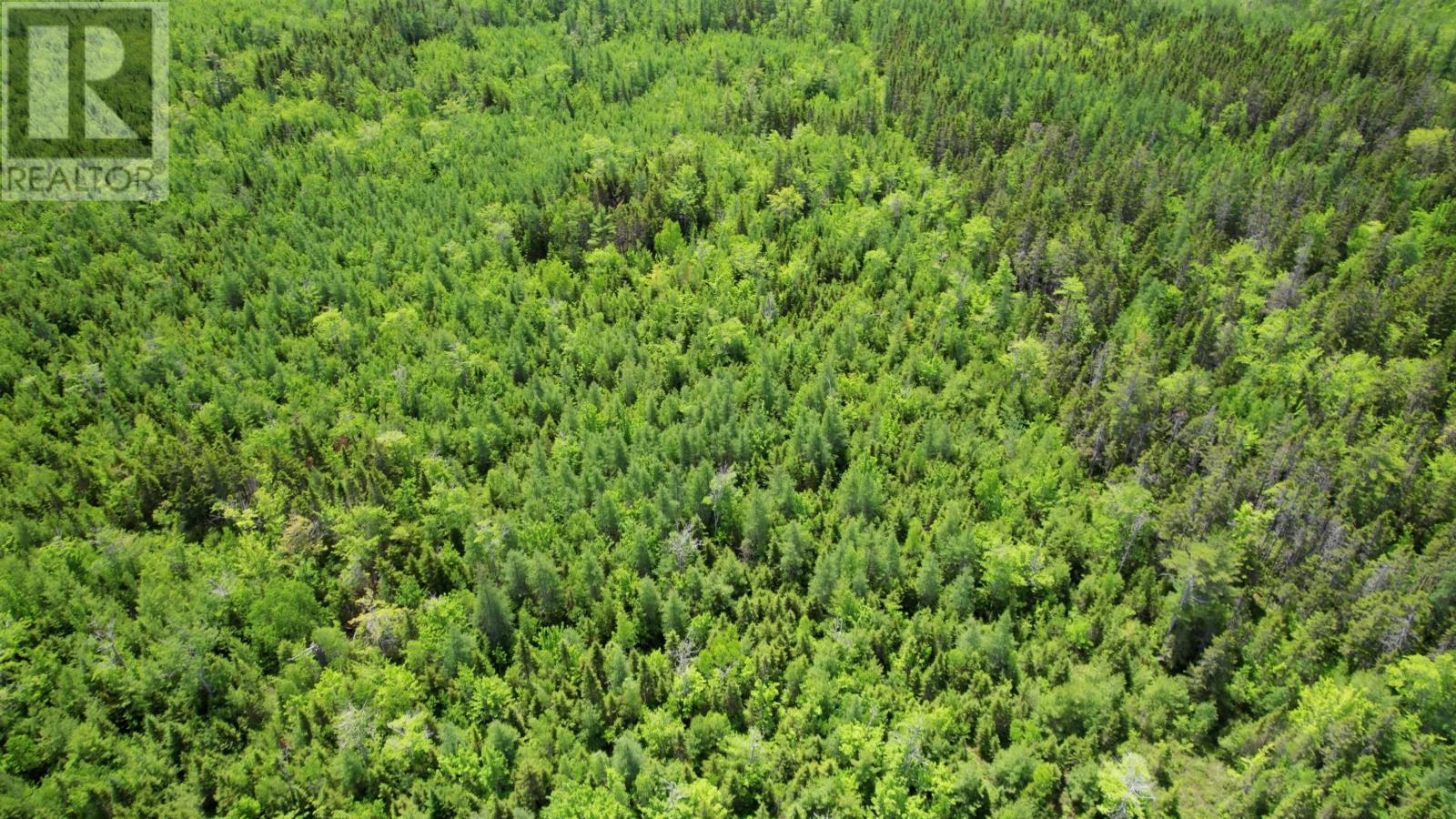 Acreage Port Hill Station Road, Tyne Valley, Prince Edward Island  C0B 2C0 - Photo 13 - 202415335