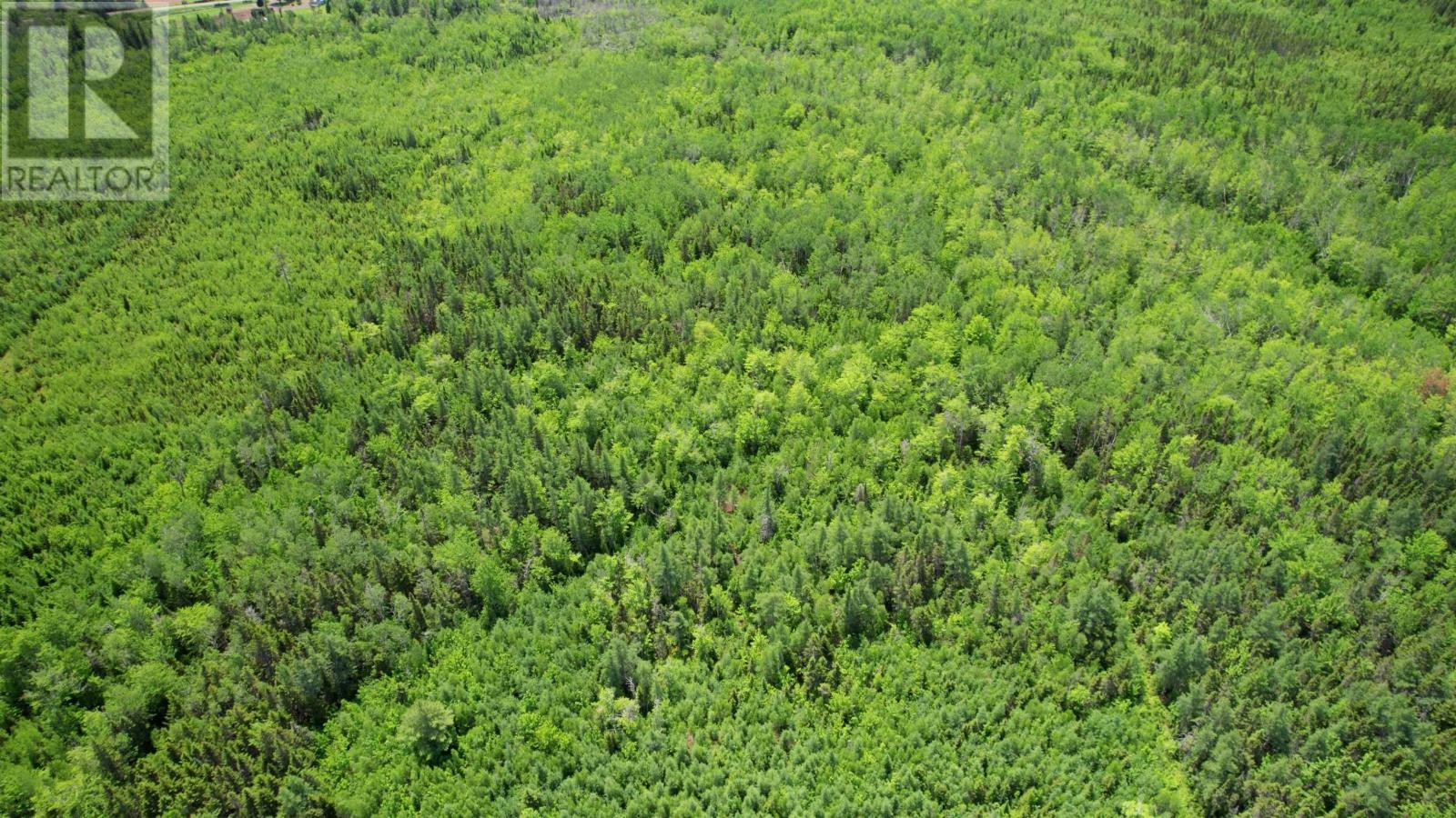 Acreage Port Hill Station Road, Tyne Valley, Prince Edward Island  C0B 2C0 - Photo 14 - 202415335