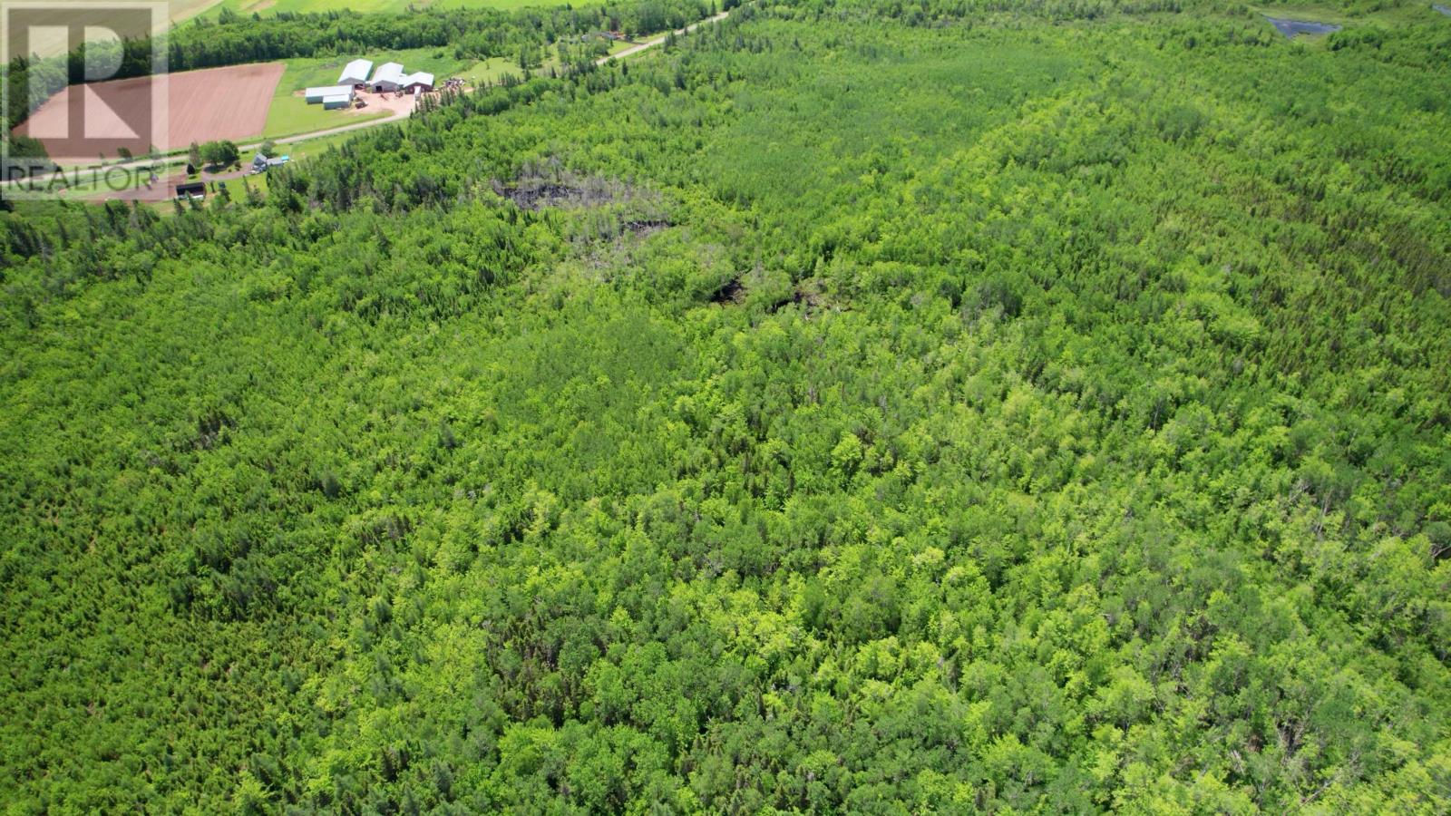 Acreage Port Hill Station Road, Tyne Valley, Prince Edward Island  C0B 2C0 - Photo 15 - 202415335