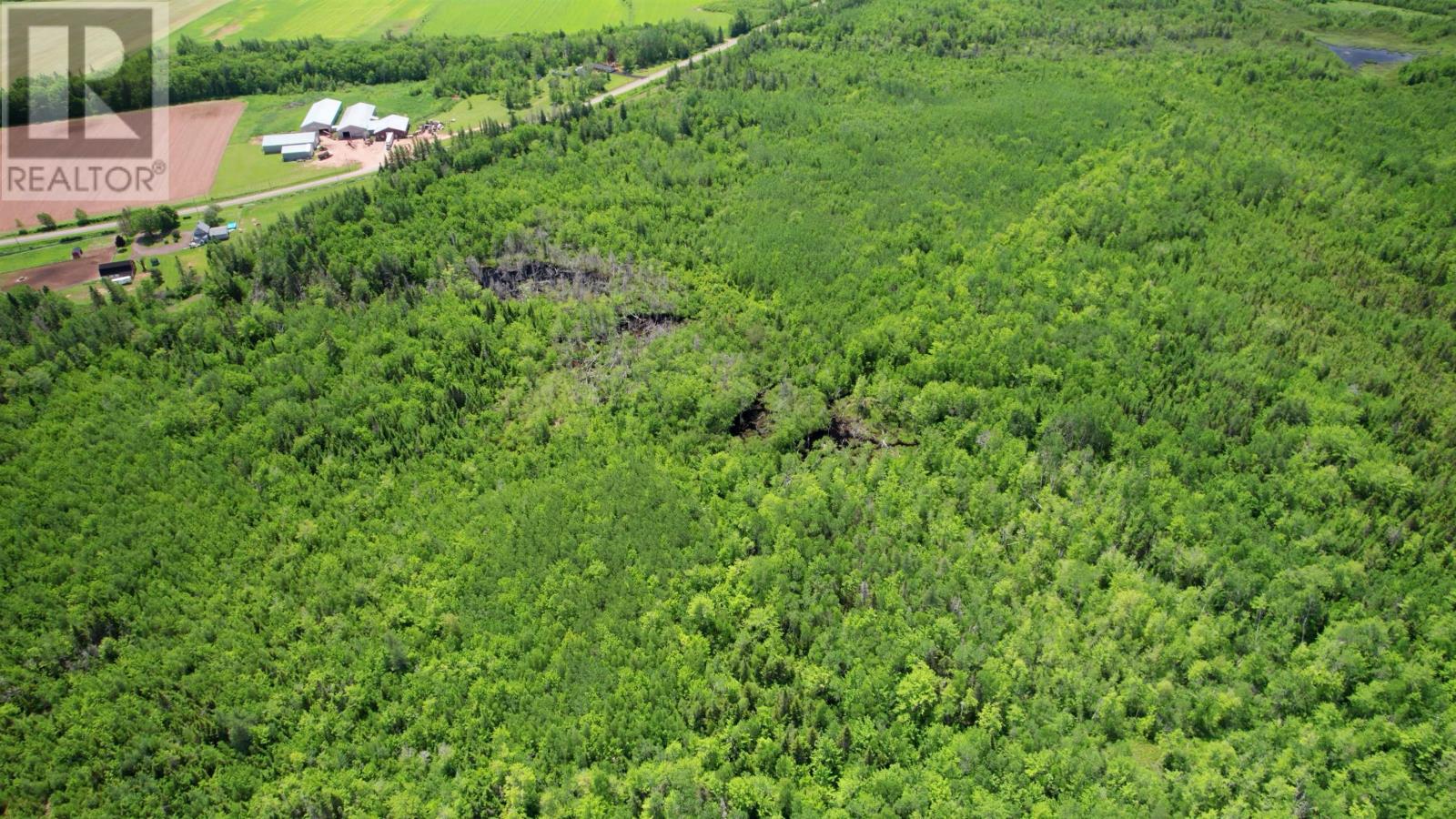 Acreage Port Hill Station Road, Tyne Valley, Prince Edward Island  C0B 2C0 - Photo 16 - 202415335