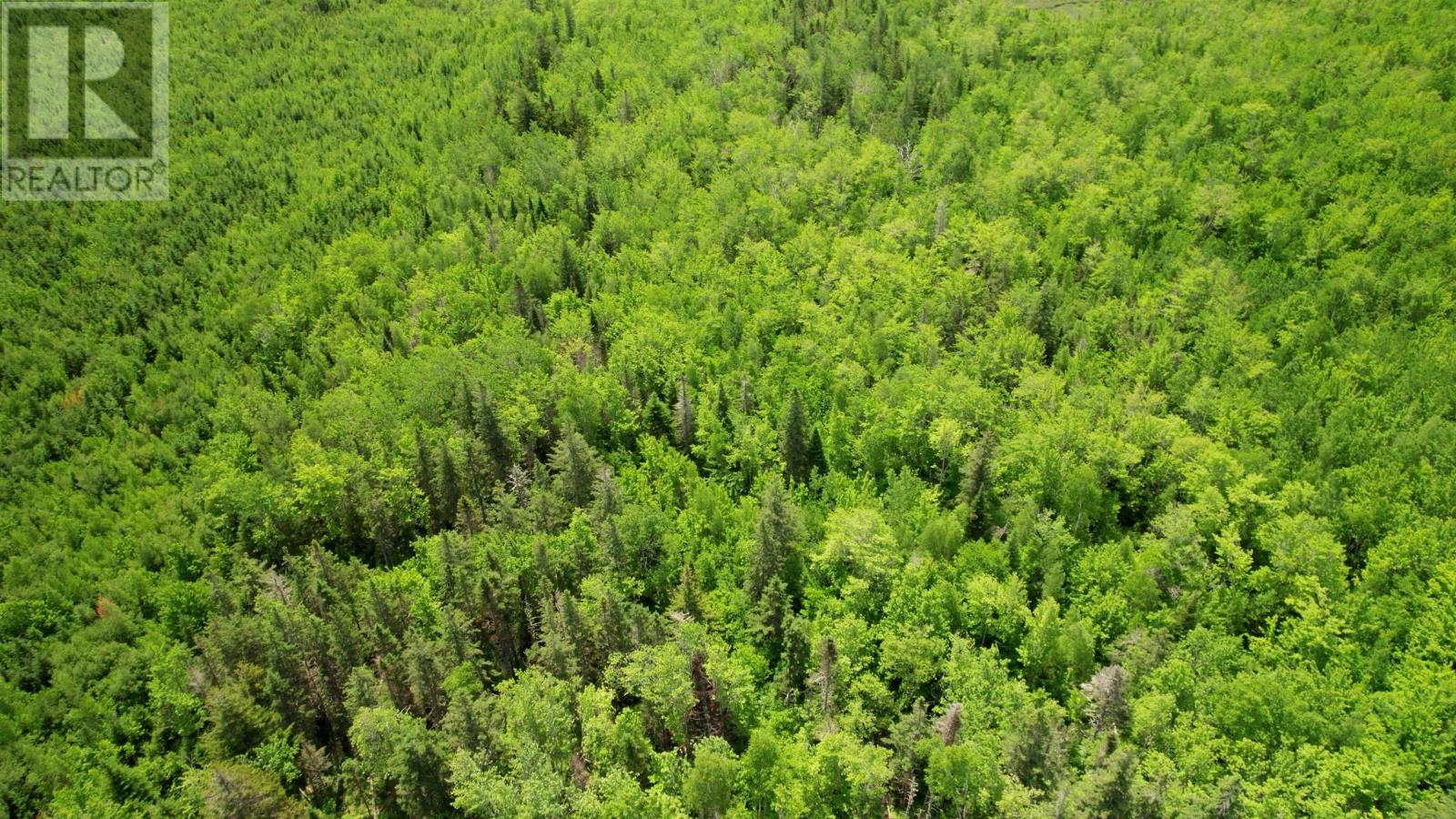 Acreage Port Hill Station Road, Tyne Valley, Prince Edward Island  C0B 2C0 - Photo 3 - 202415335