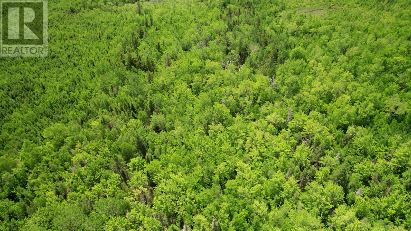 Acreage Port Hill Station Road, Tyne Valley, Prince Edward Island  C0B 2C0 - Photo 4 - 202415335