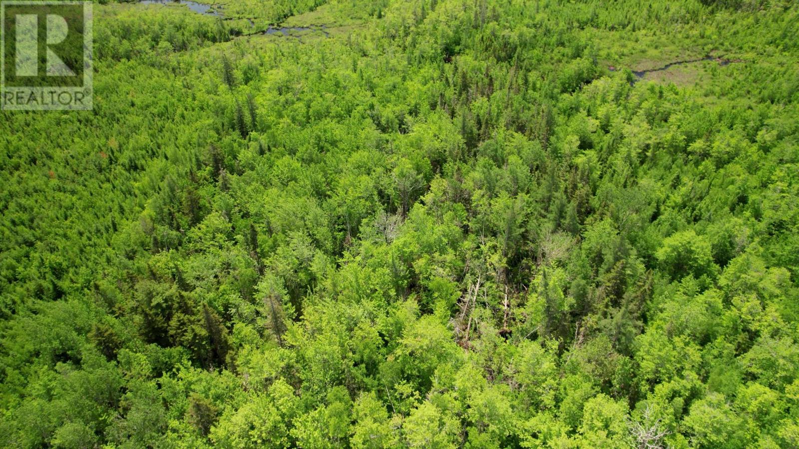 Acreage Port Hill Station Road, Tyne Valley, Prince Edward Island  C0B 2C0 - Photo 5 - 202415335