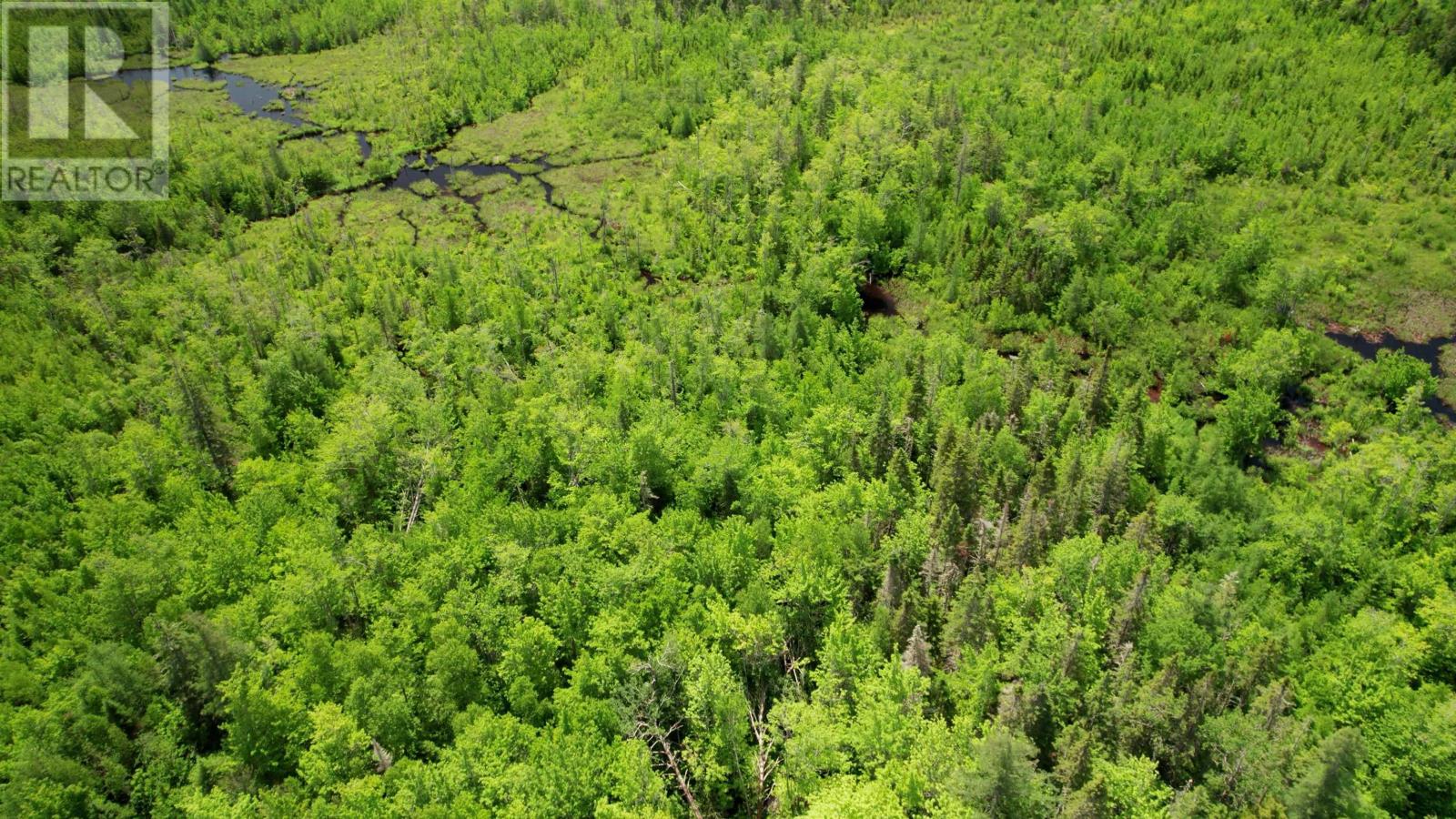 Acreage Port Hill Station Road, Tyne Valley, Prince Edward Island  C0B 2C0 - Photo 6 - 202415335