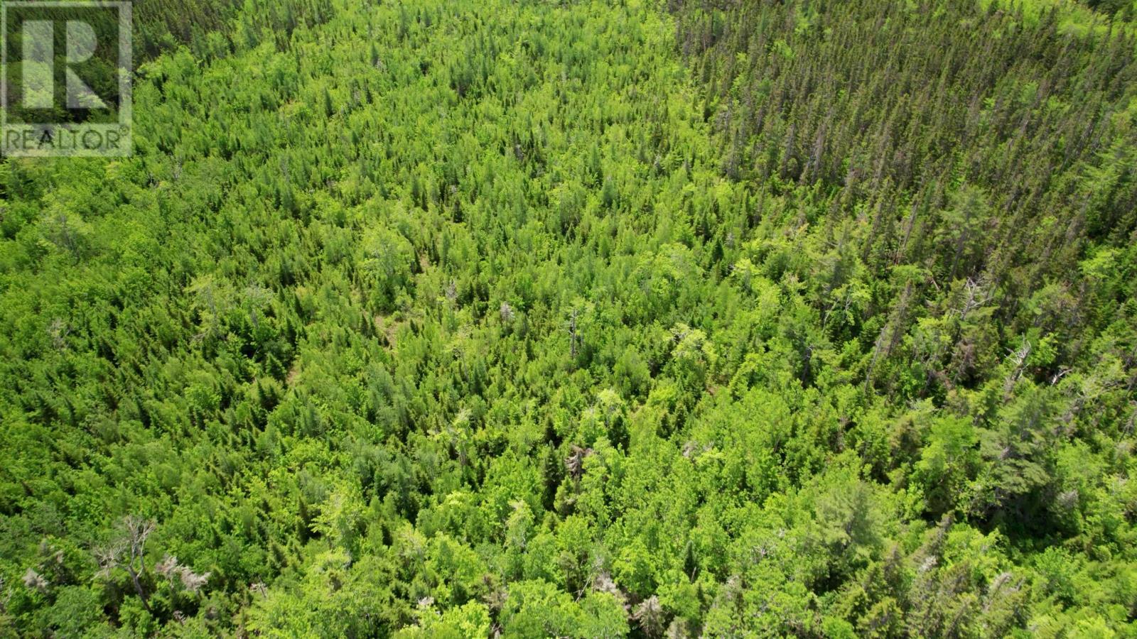 Acreage Port Hill Station Road, Tyne Valley, Prince Edward Island  C0B 2C0 - Photo 8 - 202415335